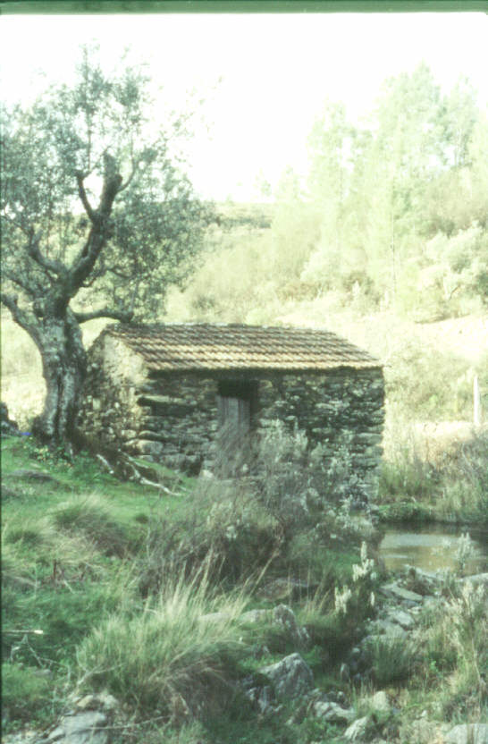 Lauf15