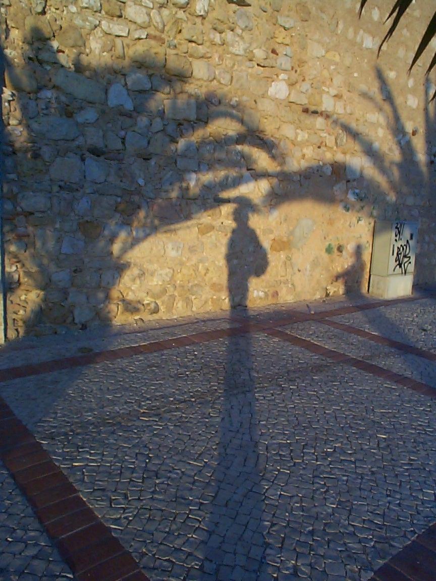 Lauf29