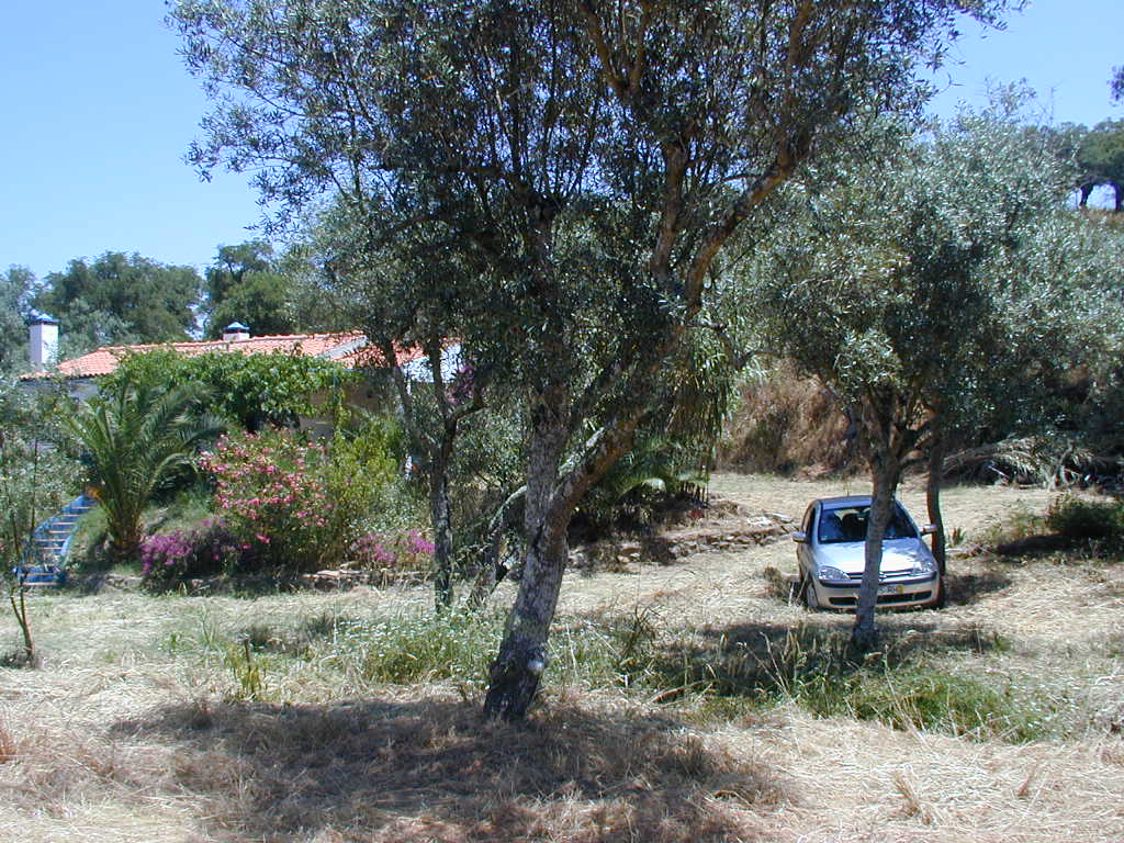 Lauf30