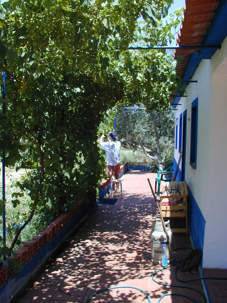 Lauf31