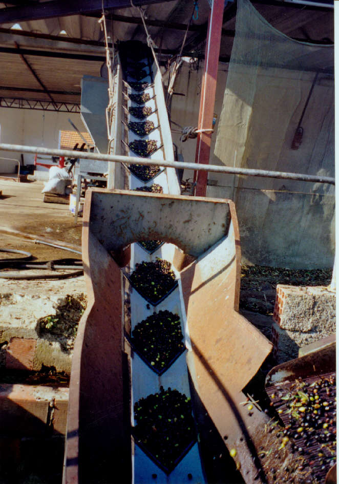 Fabrik001.jpg (101008 Byte)