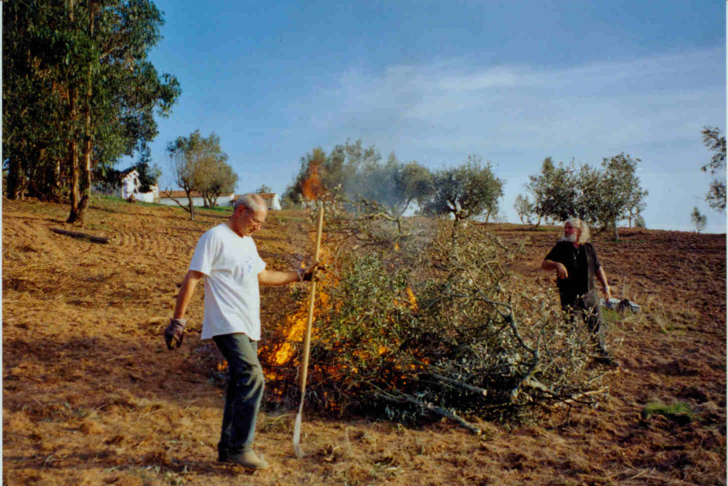Feuer005_klein.jpg (117558 Byte)